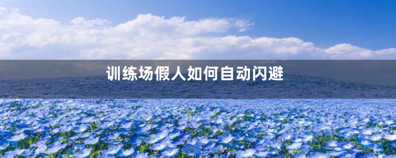 训练场假人如何自动闪避