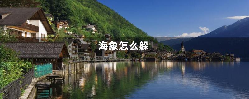 海象怎么躲
