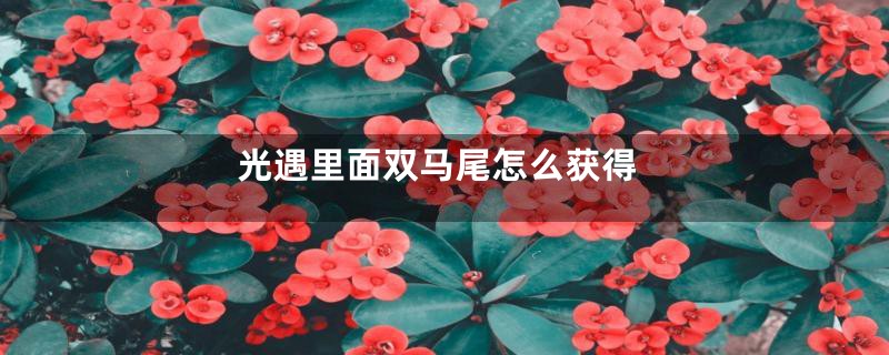 光遇里面双马尾怎么获得