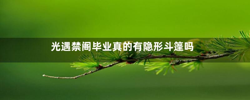 光遇禁阁毕业真的有隐形斗篷吗