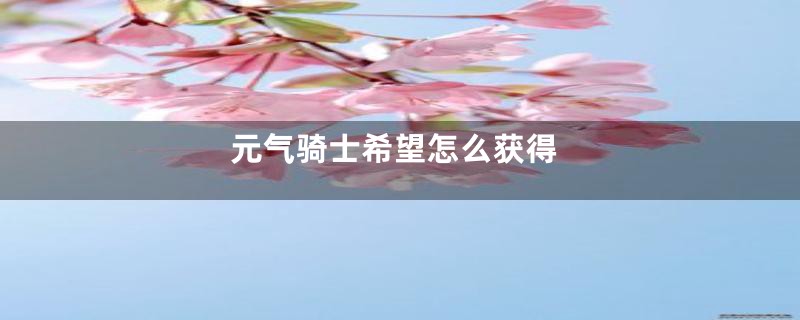 元气骑士希望怎么获得