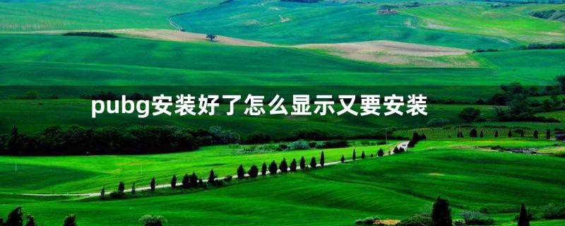 pubg安装好了怎么显示又要安装