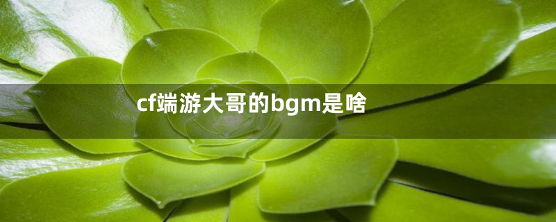 cf端游大哥的bgm是啥