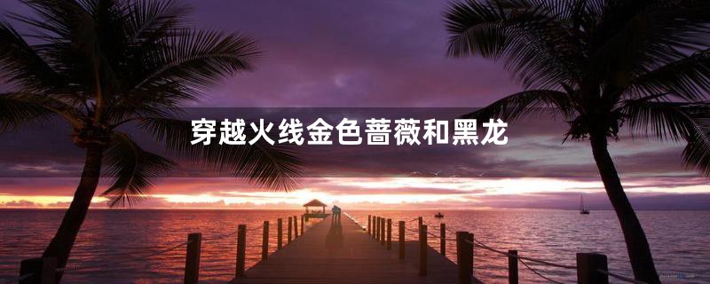 穿越火线金色蔷薇和黑龙