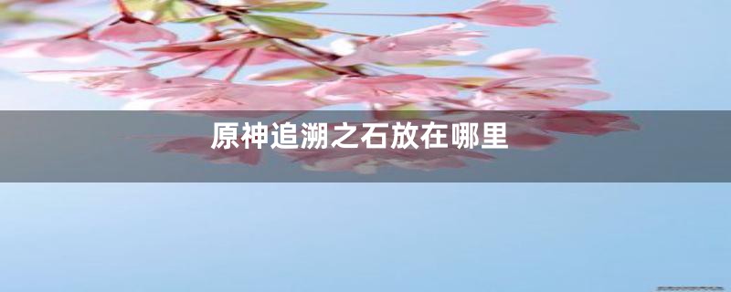 原神追溯之石放在哪里