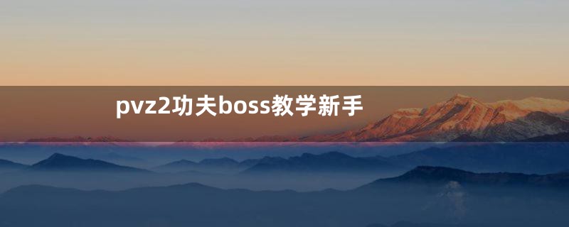 pvz2功夫boss教学新手