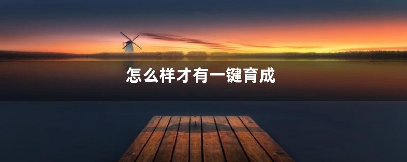 怎么样才有一键育成