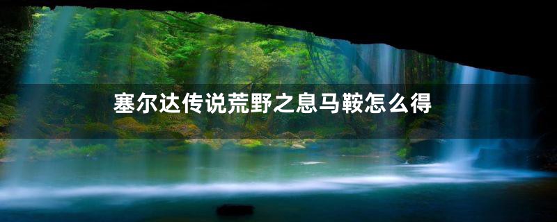塞尔达传说荒野之息马鞍怎么得