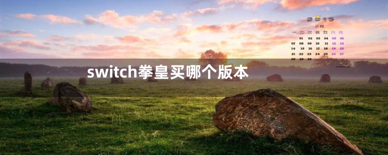 switch拳皇买哪个版本