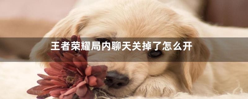 王者荣耀局内聊天关掉了怎么开