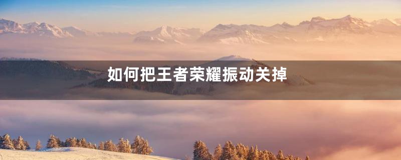 如何把王者荣耀振动关掉