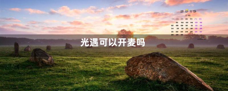 光遇可以开麦吗