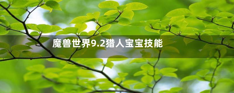 魔兽世界9.2猎人宝宝技能