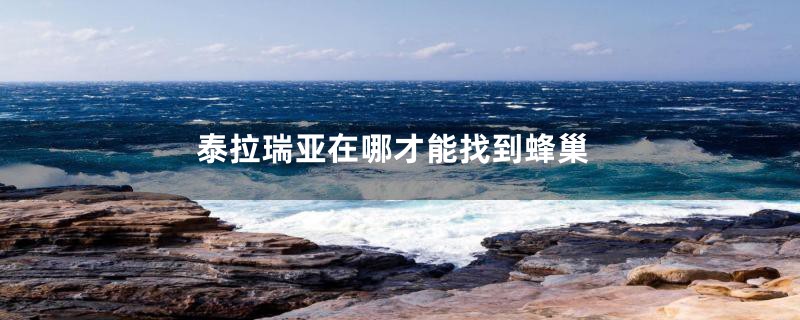 泰拉瑞亚在哪才能找到蜂巢