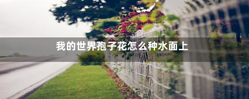 我的世界孢子花怎么种水面上