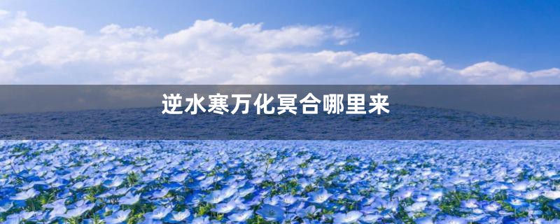 逆水寒万化冥合哪里来