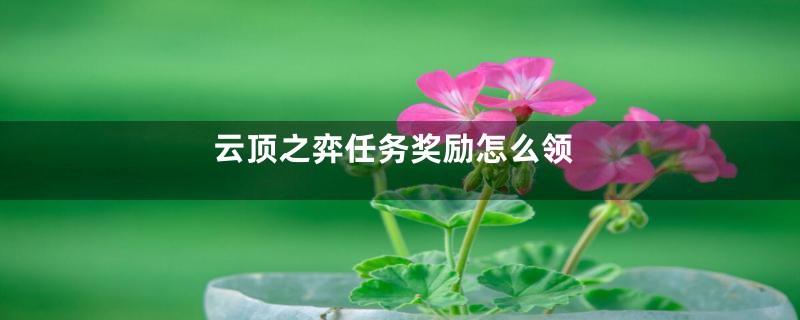 云顶之弈任务奖励怎么领
