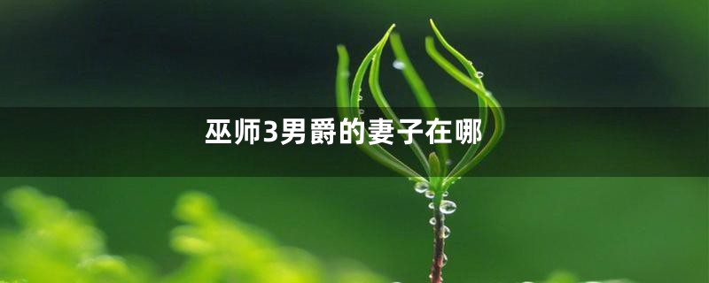 巫师3男爵的妻子在哪