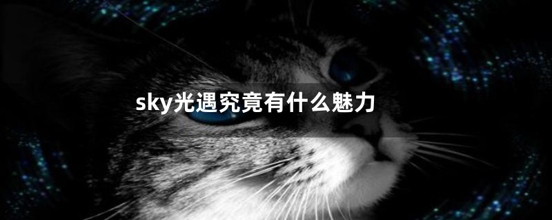 sky光遇究竟有什么魅力