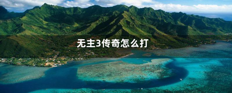 无主3传奇怎么打