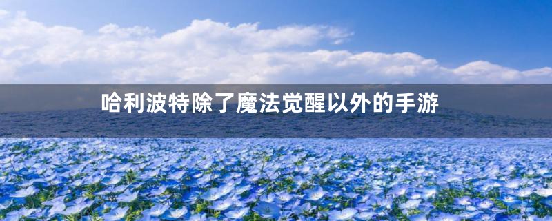 哈利波特除了魔法觉醒以外的手游