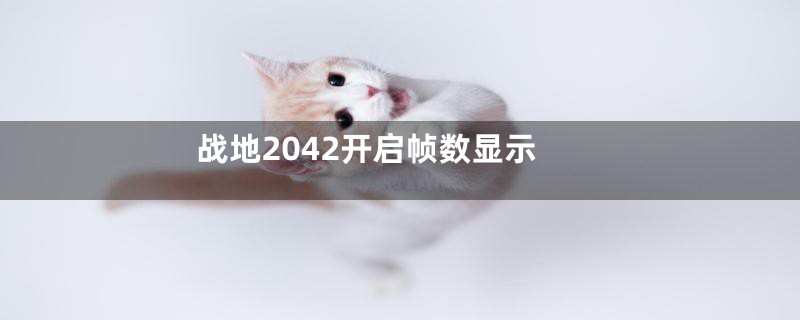 战地2042开启帧数显示