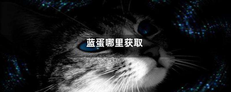 蓝蛋哪里获取