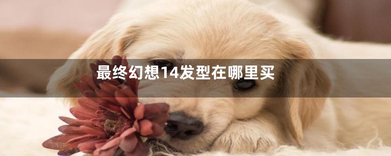 最终幻想14发型在哪里买
