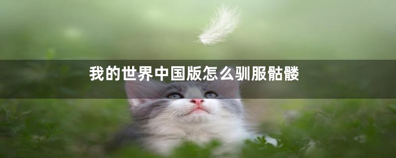 我的世界中国版怎么驯服骷髅