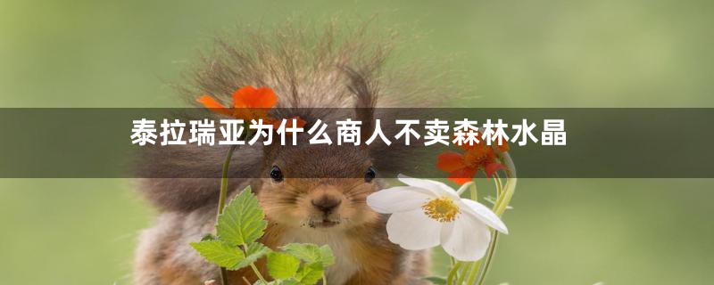 泰拉瑞亚为什么商人不卖森林水晶