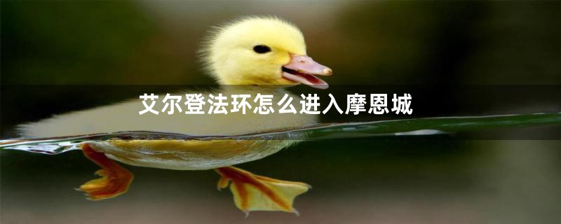艾尔登法环怎么进入摩恩城