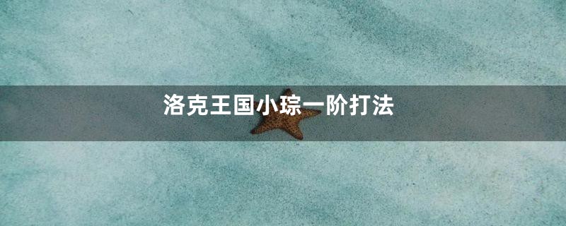洛克王国小琮一阶打法
