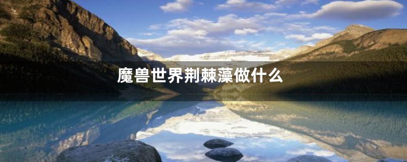 魔兽世界荆棘藻做什么