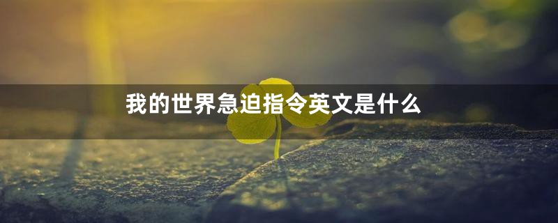 我的世界急迫指令英文是什么