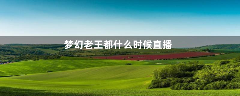 梦幻老王都什么时候直播
