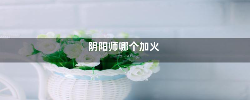阴阳师哪个加火