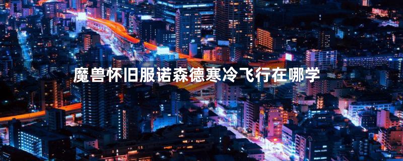 魔兽怀旧服诺森德寒冷飞行在哪学