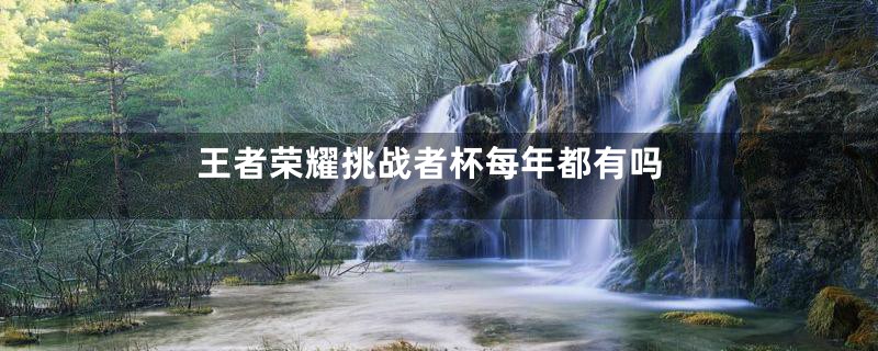 王者荣耀挑战者杯每年都有吗