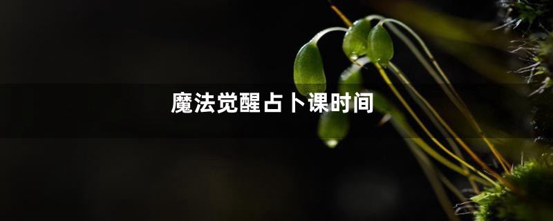 魔法觉醒占卜课时间