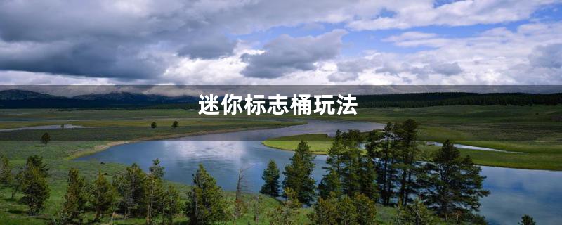 迷你标志桶玩法