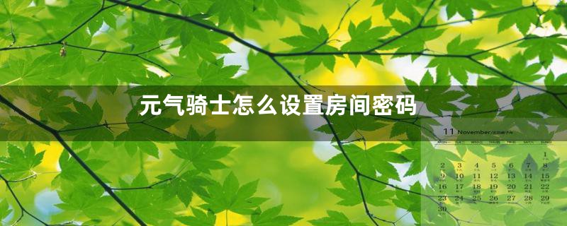 元气骑士怎么设置房间密码