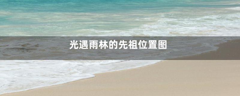 光遇雨林的先祖位置图