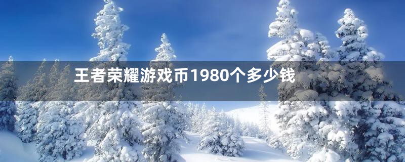 王者荣耀游戏币1980个多少钱