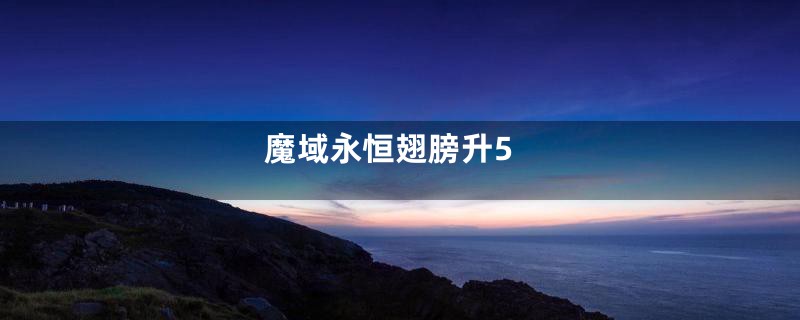 魔域永恒翅膀升5