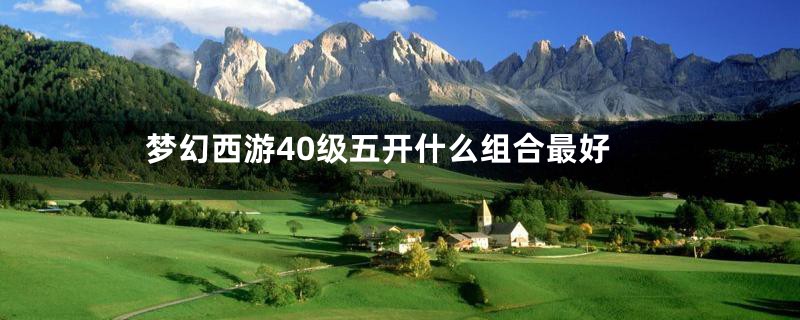 梦幻西游40级五开什么组合最好