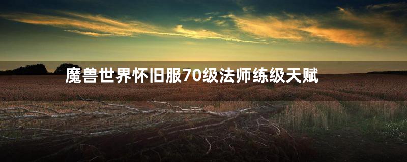 魔兽世界怀旧服70级法师练级天赋