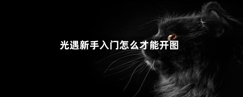 光遇新手入门怎么才能开图