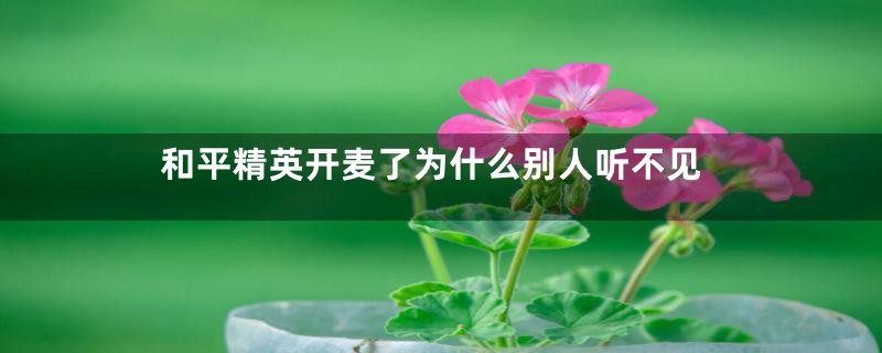 和平精英开麦了为什么别人听不见