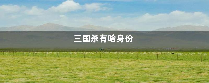 三国杀有啥身份