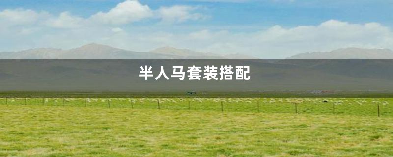 半人马套装搭配